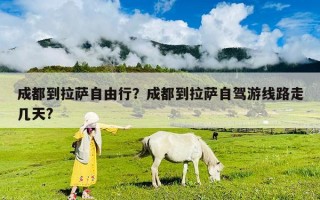 成都到拉薩自由行？成都到拉薩自駕游線路走幾天?