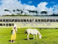 北京到拉薩游玩攻略大全？北京到拉薩游玩攻略大全圖片