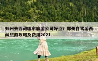 鄭州去西藏哪家旅游公司好點？鄭州自駕游西藏旅游攻略及費用2021