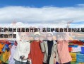 拉薩跟團還是自行游？去拉薩是自駕游好還是報旅行團