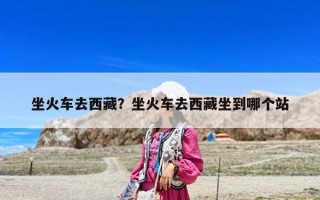 坐火車去西藏？坐火車去西藏坐到哪個站