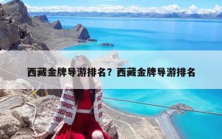 西藏金牌導游排名？西藏金牌導游排名