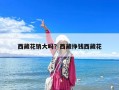 西藏花銷大嗎？西藏掙錢西藏花