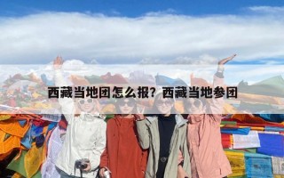 西藏當地團怎么報？西藏當地參團