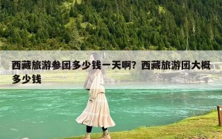 西藏旅游參團多少錢一天啊？西藏旅游團大概多少錢