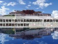 現在有哪個旅行社去西藏旅游的？西藏旅行社排名西藏旅行社哪家好