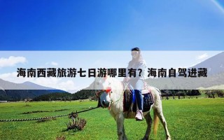 海南西藏旅游七日游哪里有？海南自駕進藏