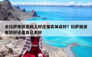 去拉薩報團是網上好還是實體店好？拉薩旅游報團好還是自己去好