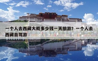 一個人去西藏大概多少錢一天旅游？一個人去西藏自駕游