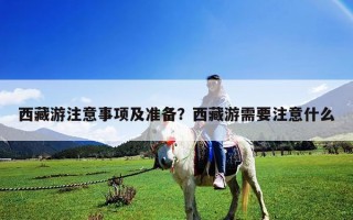 西藏游注意事項(xiàng)及準(zhǔn)備？西藏游需要注意什么