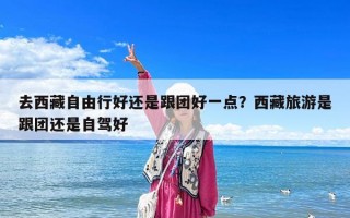 去西藏自由行好還是跟團好一點？西藏旅游是跟團還是自駕好