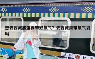 想去西藏旅游要帶好氧氣？去西藏用帶氧氣袋嗎