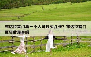 布達拉宮門票一個人可以買幾張？布達拉宮門票只收現(xiàn)金嗎