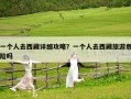一個人去西藏詳細攻略？一個人去西藏旅游危險嗎