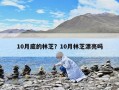 10月底的林芝？10月林芝漂亮嗎
