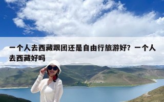 一個人去西藏跟團還是自由行旅游好？一個人去西藏好嗎