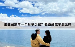 去西藏放羊一個月多少錢？去西藏放羊怎么樣