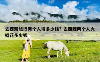 去西藏旅行兩個人得多少錢？去西藏兩個人大概花多少錢