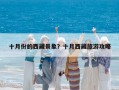 十月份的西藏景象？十月西藏旅游攻略