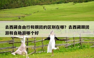 去西藏自由行和跟團的區別在哪？去西藏跟團游和自助游哪個好
