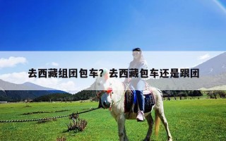 去西藏組團包車？去西藏包車還是跟團