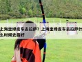 上海坐綠皮車去拉薩？上海坐綠皮車去拉薩什么時候去最好