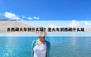 去西藏火車到什么站？坐火車到西藏什么站