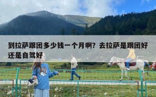 到拉薩跟團多少錢一個月啊？去拉薩是跟團好還是自駕好