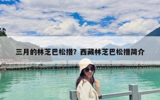 三月的林芝巴松措?西藏林芝巴松措簡(jiǎn)介 三月的林芝巴松措?西藏林芝巴松措簡(jiǎn)介