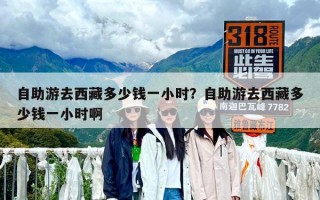 自助游去西藏多少錢一小時？自助游去西藏多少錢一小時啊