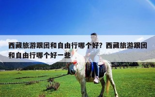 西藏旅游跟團(tuán)和自由行哪個(gè)好？西藏旅游跟團(tuán)和自由行哪個(gè)好一些