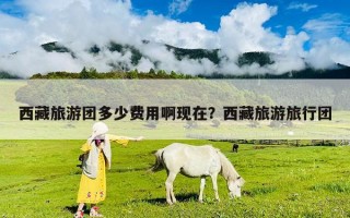 西藏旅游團(tuán)多少費(fèi)用啊現(xiàn)在？西藏旅游旅行團(tuán)
