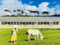 拉薩跟團五日游最低報價？拉薩跟團一日游
