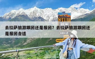 去拉薩旅游跟團還是報團？去拉薩旅游跟團還是報團合適