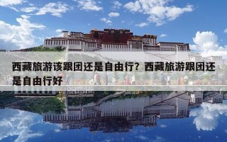西藏旅游該跟團還是自由行？西藏旅游跟團還是自由行好