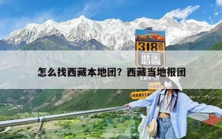 怎么找西藏本地團？西藏當地報團
