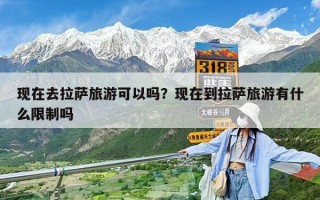 現在去拉薩旅游可以嗎？現在到拉薩旅游有什么限制嗎
