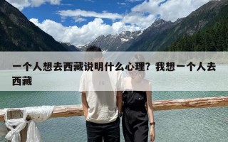 一個人想去西藏說明什么心理？我想一個人去西藏