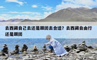 去西藏自己去還是跟團去合適？去西藏自由行還是跟團