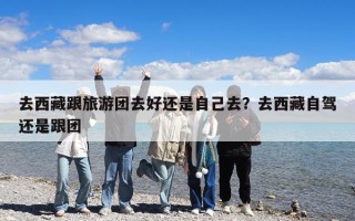 去西藏跟旅游團去好還是自己去？去西藏自駕還是跟團