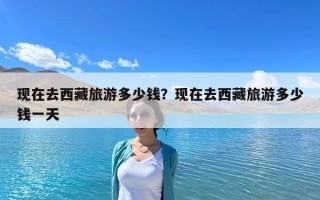 現在去西藏旅游多少錢？現在去西藏旅游多少錢一天