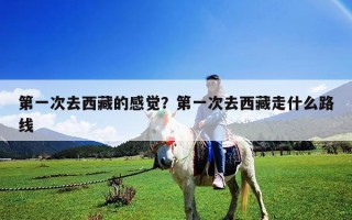 第一次去西藏的感覺？第一次去西藏走什么路線
