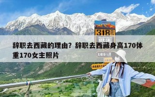 辭職去西藏的理由？辭職去西藏身高170體重170女主照片