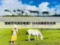 西藏然烏湖在哪里？318川藏線然烏湖