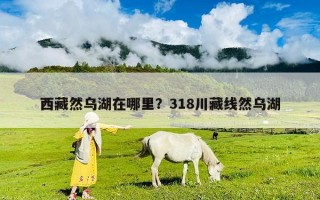 西藏然烏湖在哪里？318川藏線然烏湖
