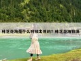 林芝花海是什么時候出現的？林芝花海牧場