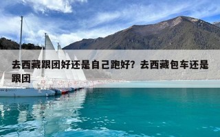 去西藏跟團好還是自己跑好？去西藏包車還是跟團
