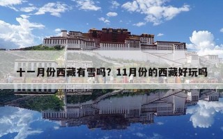 十一月份西藏有雪嗎？11月份的西藏好玩嗎