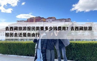 去西藏旅游報團需要多少錢費用？去西藏旅游報團去還是自由行