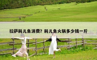 拉薩耗兒魚消費？耗兒魚火鍋多少錢一斤